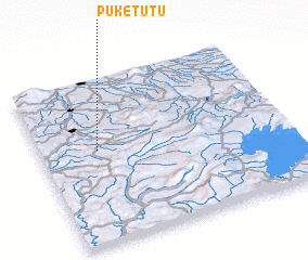 3d view of Puketutu