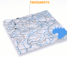 3d view of Taringamotu