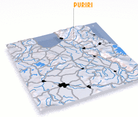 3d view of Puriri