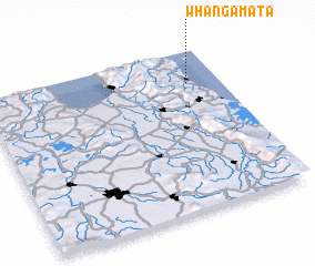 3d view of Whangamata