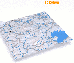 3d view of Tokoroa