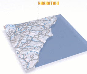 3d view of Whakataki