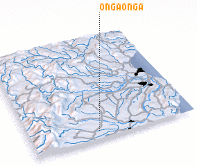 3d view of Onga Onga