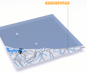 3d view of Awakaponga