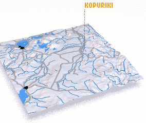 3d view of Kopuriki