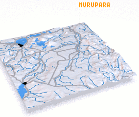 3d view of Murupara