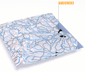 3d view of Waiohiki