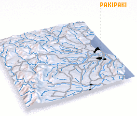 3d view of Pakipaki