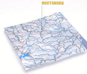 3d view of Moutohora