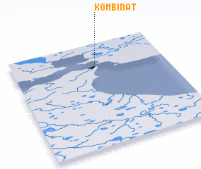 3d view of Kombinat