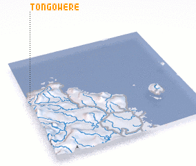 3d view of Tongowere