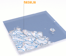 3d view of Nasalia