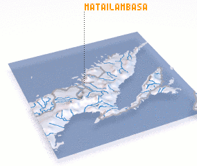 3d view of Matailambasa