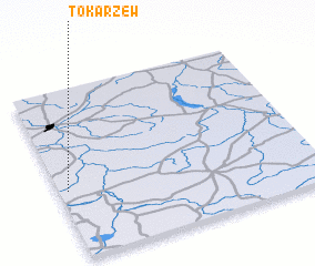 3d view of Tokarzew