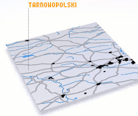 3d view of Tarnów Opolski