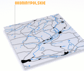 3d view of Okoniny Polskie