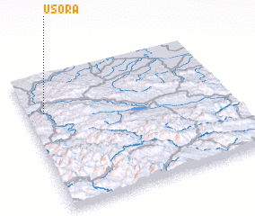 3d view of Usora