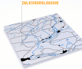 3d view of Zalesie Królewskie