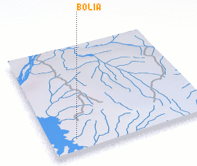 3d view of Bolia