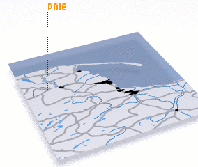 3d view of Pnie