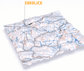 3d view of Sokolice