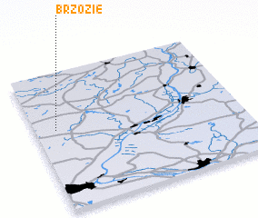 3d view of Brzozie