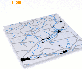 3d view of Lipki