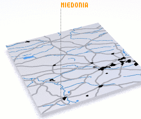 3d view of Miedonia