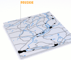 3d view of Pruskie