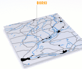 3d view of Borki