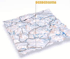3d view of Berberovina