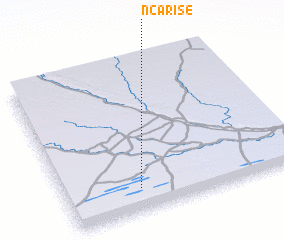 3d view of Ncarise