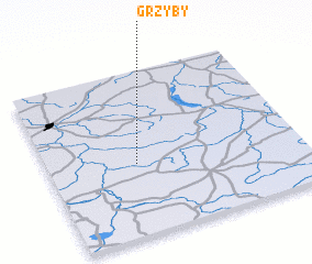 3d view of Grzyby