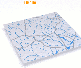 3d view of Limgua