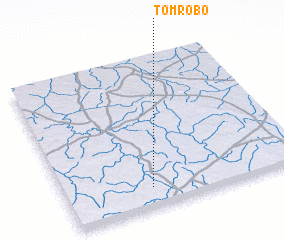 3d view of Tomrobo