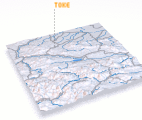 3d view of Toke