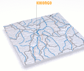 3d view of Kikongo