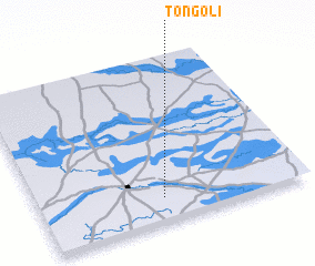 3d view of Tongoli