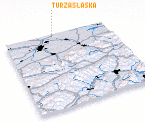 3d view of Turza Śląska