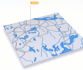 3d view of Hori