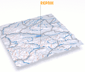 3d view of Repnik