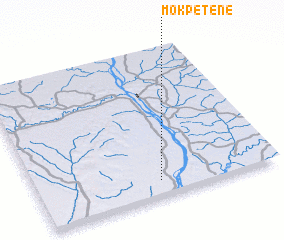 3d view of Mokpéténé