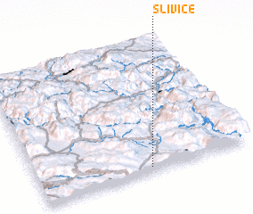 3d view of Slivice