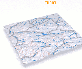 3d view of Tunići