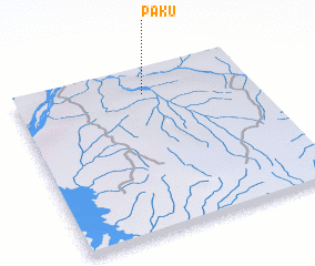 3d view of Paku