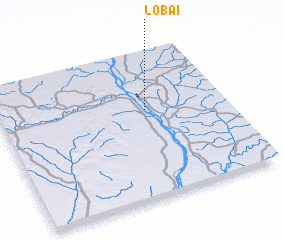 3d view of Lobai