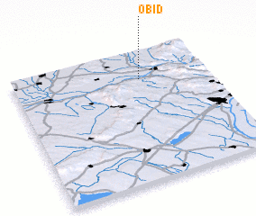 3d view of Obid