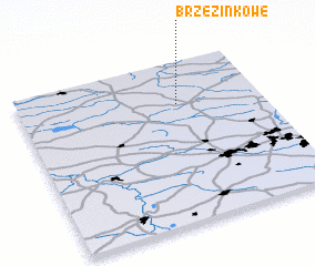 3d view of Brzezinkowe
