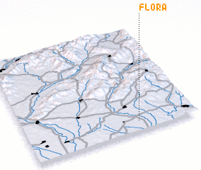 3d view of Flora