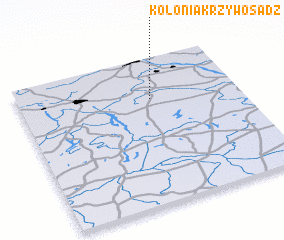 3d view of Kolonia Krzywosadz